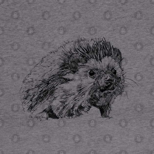 Hedgehog Ink Drawing by Fireside Press